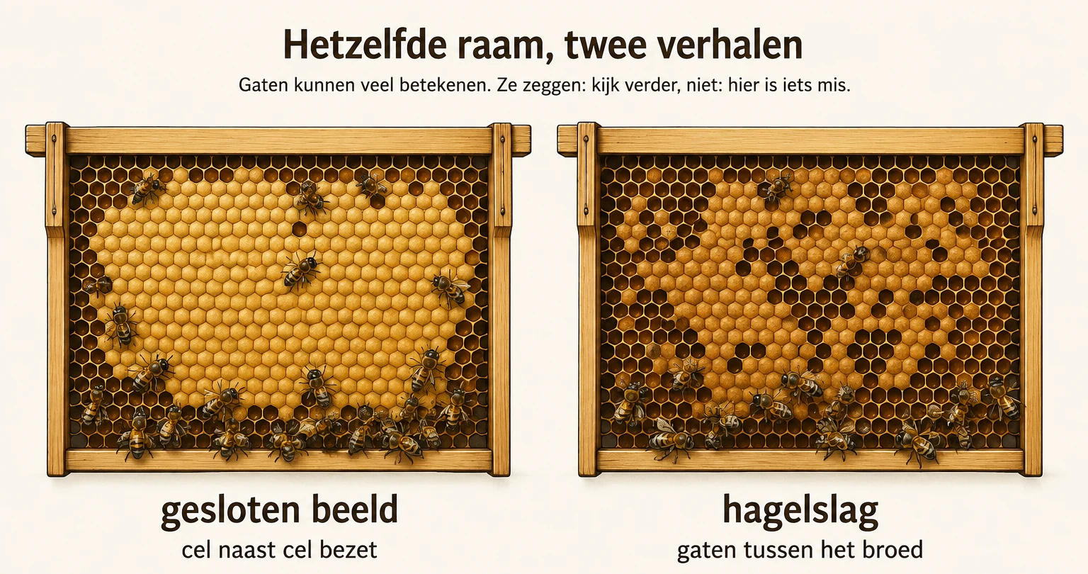 Twee raten naast elkaar: links broed dat cel naast cel bezet is, rechts hetzelfde broed met gaten ertussen